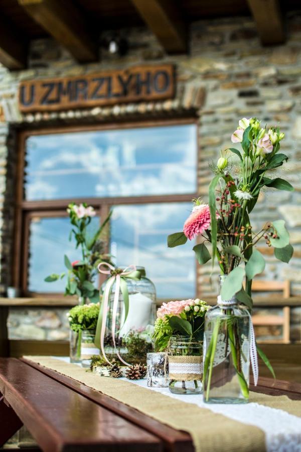 Chata U Zmrzlyho Vrchlabí Exterior photo